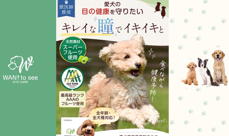 �����p���N�\�h����yWan�ITo see�z���T�C�g